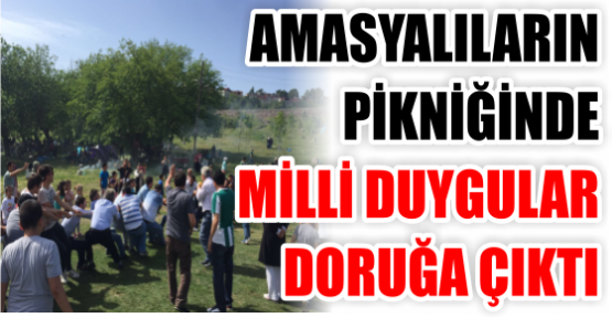 AMASYALILARIN PİKNİĞİNDE MİLLİ DUYGULAR DORUĞA ÇIKTI