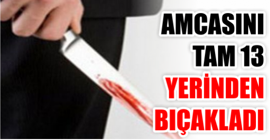 Amcasını 13 yerinden bıçaklayarak öldürdü