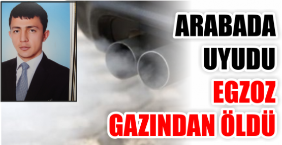 Arabada uyudu egzoz gazından öldü