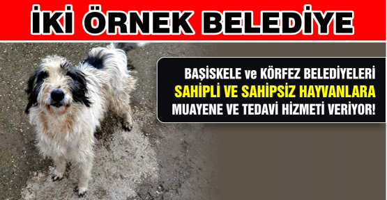 İki Örnek Belediye