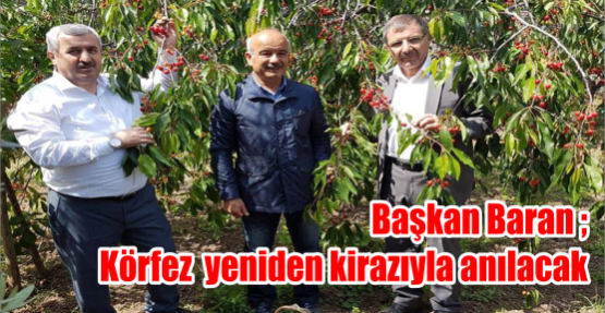 Başkan Baran ,Körfez yeniden kirazıyla anılacak 