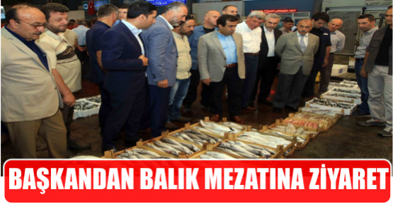 Başkan Karaosmanoğlu,Ereğli’de balıkçıların ilk mezatına eşlik etti