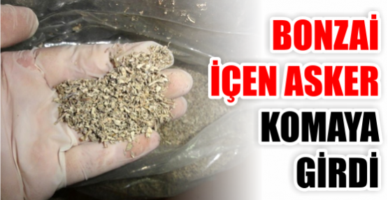 Bonzai içen asker komaya girdi