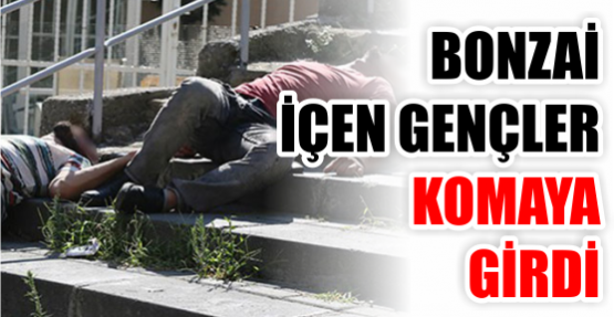 Bonzai içen gençler komaya girdi