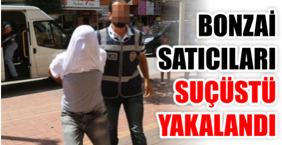 Bonzai satıcıları suçüstü yakalandı