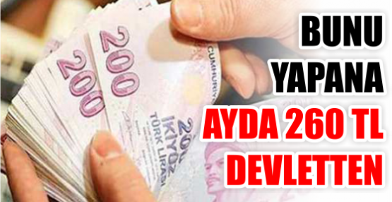 BUNU  YAPANA AYDA 260 TL DEVLETTEN