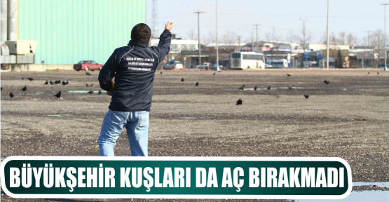 BÜYÜKŞEHİR KUŞLARI DA AÇ BIRAKMADI