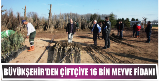 Büyükşehir’den çiftçiye 16 bin meyve fidanı