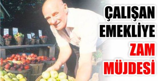 ÇALIŞAN EMEKLİYE ZAM MÜJDESİ