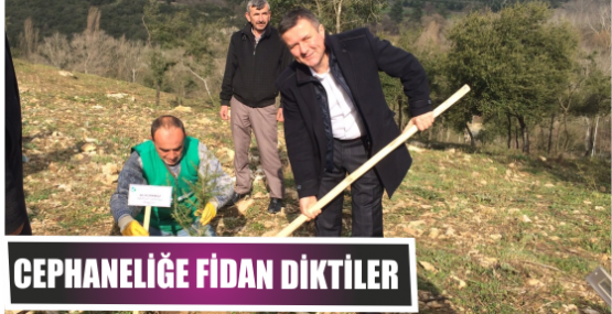 CEPHANELİĞE FİDAN DİKTİLER