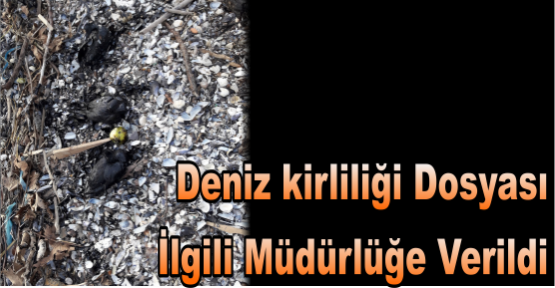 Deniz kirliliği dosyası ilgili müdürlüğe verildi