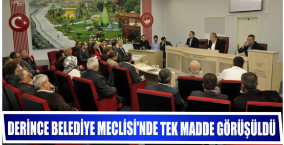 Derince Belediye Meclisi’nde tek madde görüşüldü