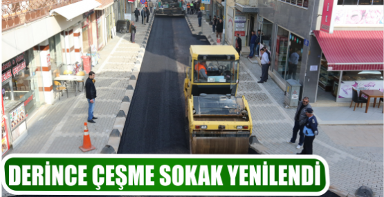 DERİNCE ÇEŞME SOKAK YENİLENDİ
