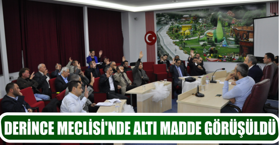 DERİNCE MECLİSİ'NDE ALTI MADDE GÖRÜŞÜLDÜ