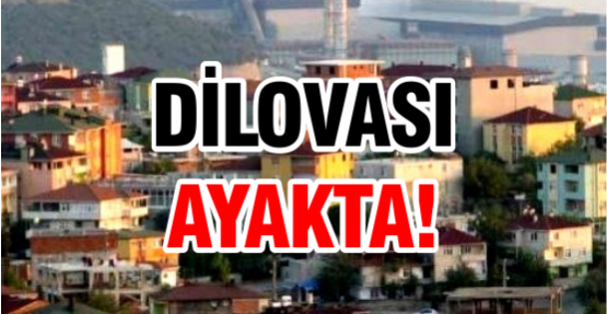 Dilovası ayakta