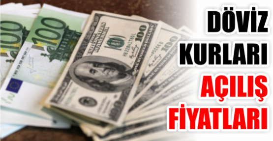 DÖVİZ KURLARI AÇILIŞ FİYATLARI