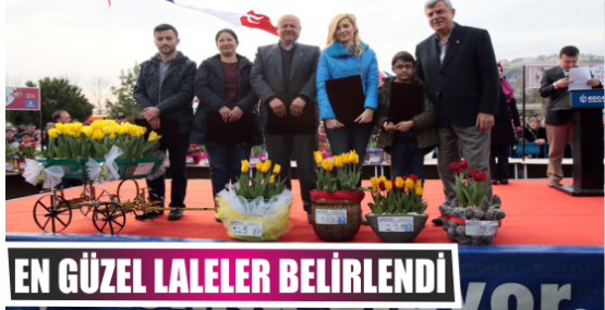 En Güzel Laleler belirlendi