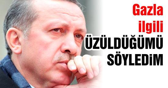Erdoğan: Gazla ilgili üzüntümü söyledim