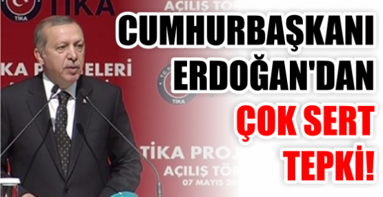 Erdoğan: 'Siz kimin bağından kimi kovuyorsunuz'