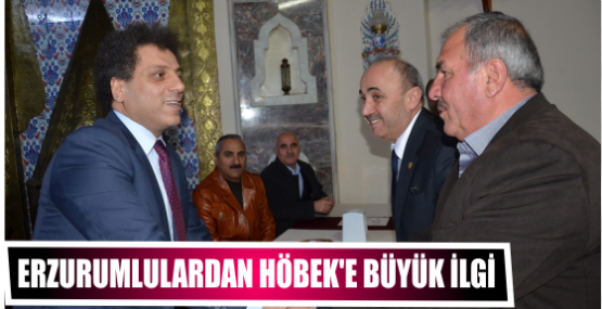 Erzurumlulardan Höbek'e büyük ilgi