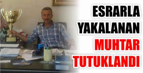 Esrarla yakalanan muhtar tutuklandı!