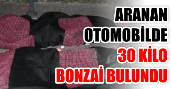 Feribot iskelesinde aranan otomobilde 30 kilo bonzai ele geçirildi.