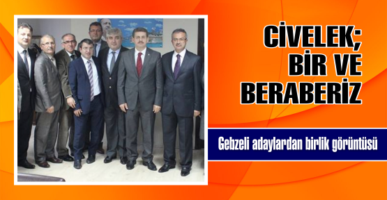  Gebze, Aday Adaylarından Birlik Ve Beraberlik Tablosu