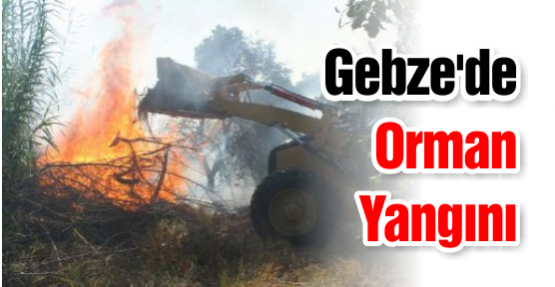 Gebze'de Orman Yangını