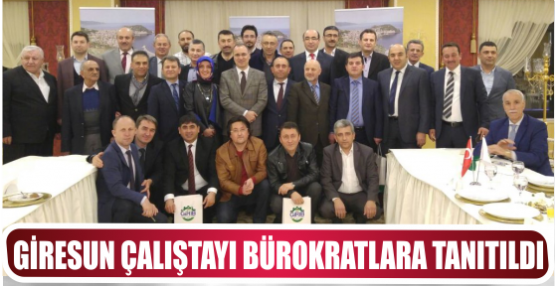 GİRESUN ÇALIŞTAYI BÜROKRATLARA TANITILDI