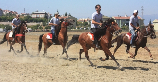 Gölcük Belediyesi Geleneksel Rahvan At Yarışları İhsaniye Koşusu  