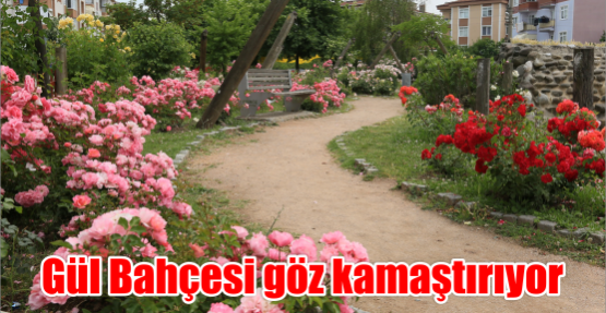 Gül Bahçesi göz kamaştırıyor