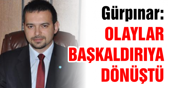 Gürpınar'dan Gezi Parkı Açıklaması
