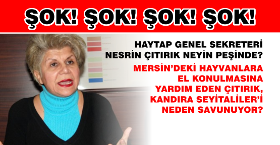 Haytap Genel Sekreteri Nesrin Çıtırık Neyin Peşinde?