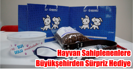 Hayvan sahiplenenlere Büyükşehirden sürpriz hediye