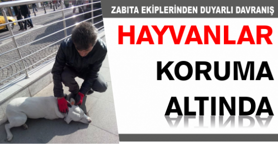  HAYVANLAR KORUMA ALTINDA