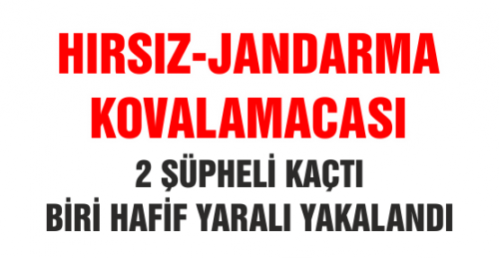 Hırsız-jandarma Kovalamacası