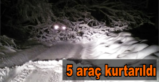 İki ağacın devrilmesi sonucunda mahsur kalan 5 araç kurtarıldı