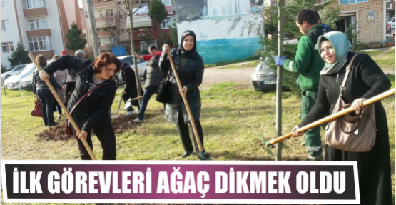 İlk görevleri ağaç dikmek oldu