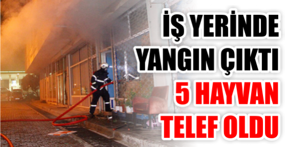İş yerinde yangın: 5 ölü