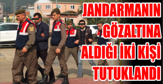 Jandarmanın gözaltına aldığı iki kişi tutuklandı