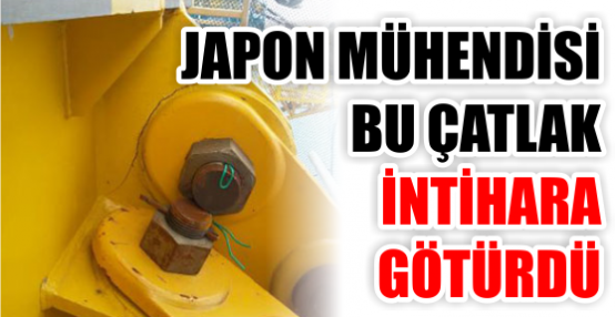 Japon Mühendisi intihara götüren çatlak
