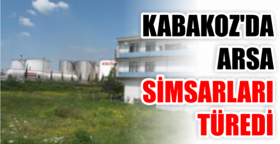 Kabakoz bölgesinde arsa simsarları türedi