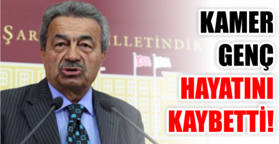 KAMER GENÇ HAYATINI KAYBETTİ!
