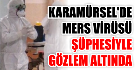 Karamürsel'de MERS alarmı!