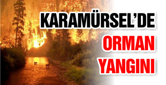 KARAMÜRSEL’DE ORMAN YANGINI