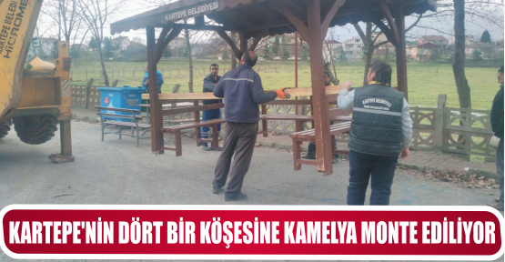KARTEPE’NİN DÖRT BİR KÖŞESİNE KAMELYA MONTE EDİLİYOR