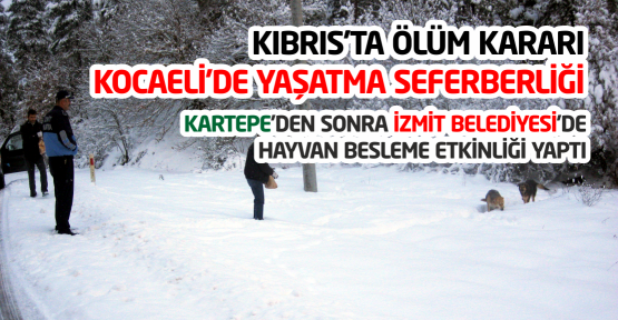 Kıbrıs'ta Ölüm Kararı, Kocaeli'de Yaşatma Seferberliği