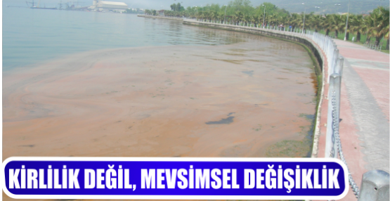 KİRLİLİK DEĞİL, MEVSİMSEL DEĞİŞİKLİK