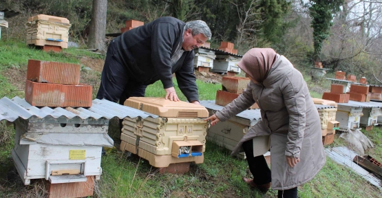  Kocaeli’de arıcılık yerleşik hale gelecek