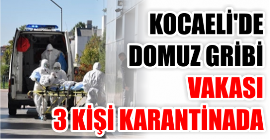 Kocaeli'de domuz gribi vakası: 3 kişi karantinada